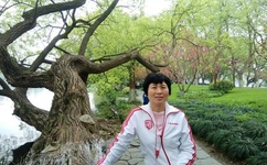 免费车床震视频大全